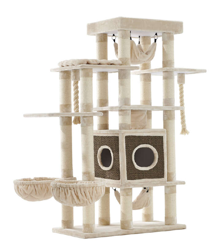 Nobby Kratzbaum Gadi